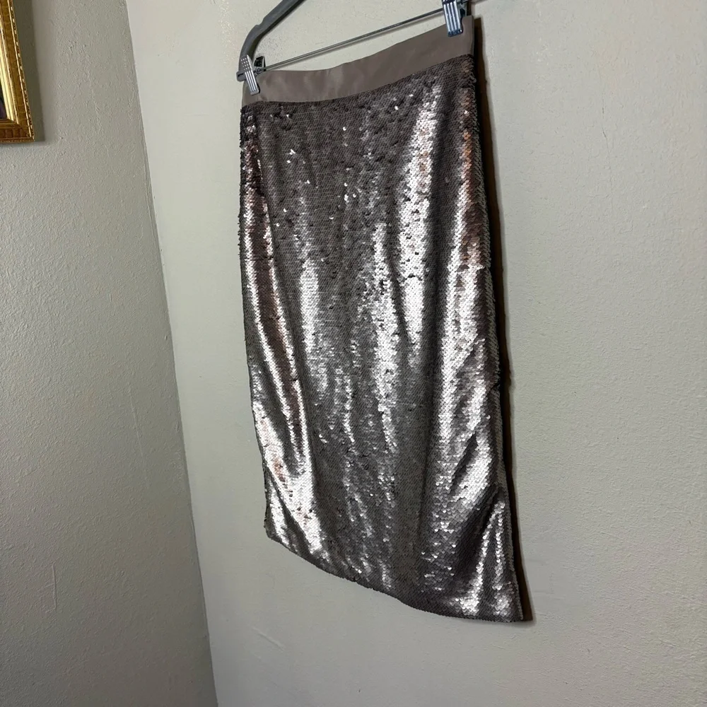 Banana Republic Matt Silver Sequin Pencil Midi Skirt Size 6